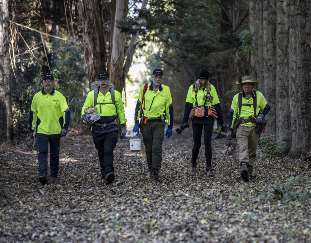 코러스 현장 서비스