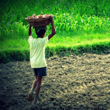 현대 노예 제도 현대 노예 제도