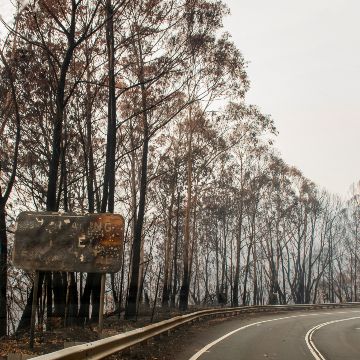 커뮤니티 재건 신탁