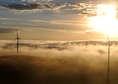 바카라사이트사이트바카라사이트사이트사이트바카라사이트사이트사이트바카라사이트사이트사이트는 2020 년 호주 최대의 지속 가능성 연결된 대출을 완료합니다