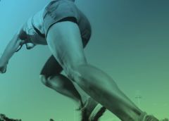 바카라사이트의 뉴질랜드 마스터 게임에 대한 헌신의 두 번째 해, Whanganui