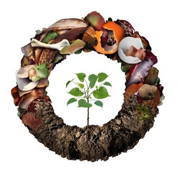 폐기물과 순환경제