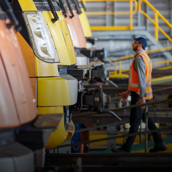 호주 최대의 여객선단