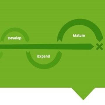 SME 인큐베이션: 성공을 위한 모델